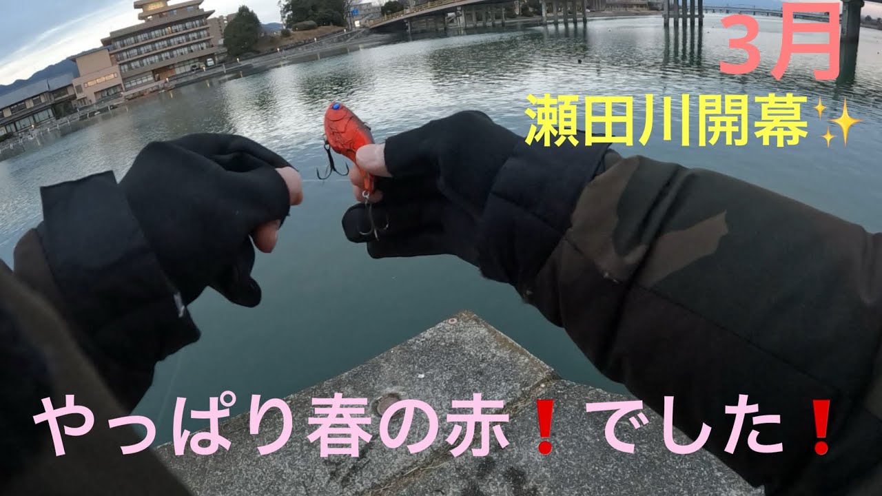 【バス釣り】春なのか、春じゃないのか❗️琵琶湖　瀬田川