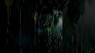 Soft Rain Sounds to Help You Relax and Fall Asleep #gentlerain #sleepsounds #asmrrain