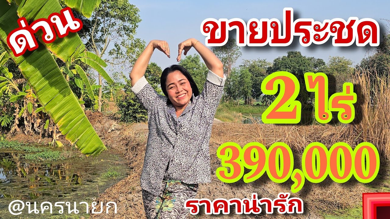 💢ด่วนๆคร่า ถูกกว่านี้ไม่มีอีกแล้ว💯% 2ไร่ สวยมาก 390,000บ. #ติดถนนลาดยาง [EP.1813]