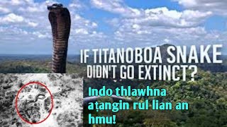 Download Lagu Rul lian tak hmuh a ni! | Africa chunga thlawhna thlâwk aṭangin rul an hmu thei! MP3