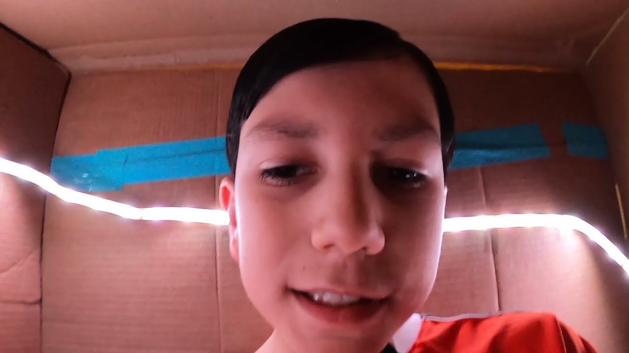 Worlds Smallest Box Fort !!!