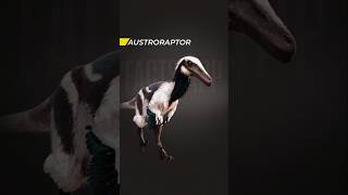 Scientifically Accurate Dinosaurs: Austroraptor