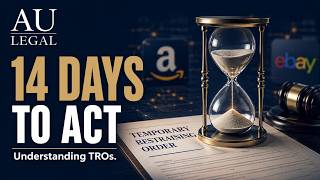 Schedule A Temporary Restraining Orders (TROs): Frozen E-Commerce Accounts