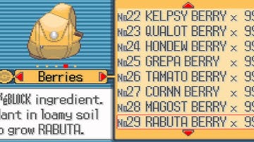 Pokemon Ruby Cheats Tutorial(GameShark Codes)