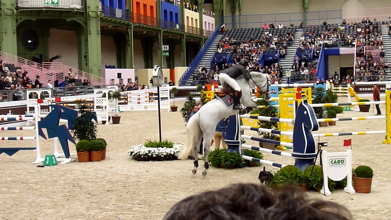 Philippe Rozier, Rahotep de Toscane, Saut Hermès 2017 (145, friday