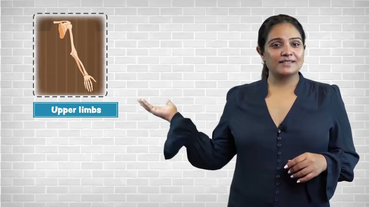 Parts of skeleton system || High aims institution || 