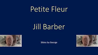 Jill Barber   Petite Fleur  KARAOKE