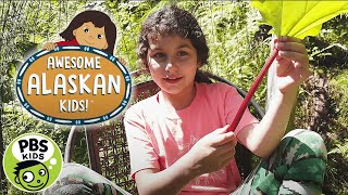 Molly of Denali | Awesome Alaskan Kids: Food in Juneau | PBS KIDS