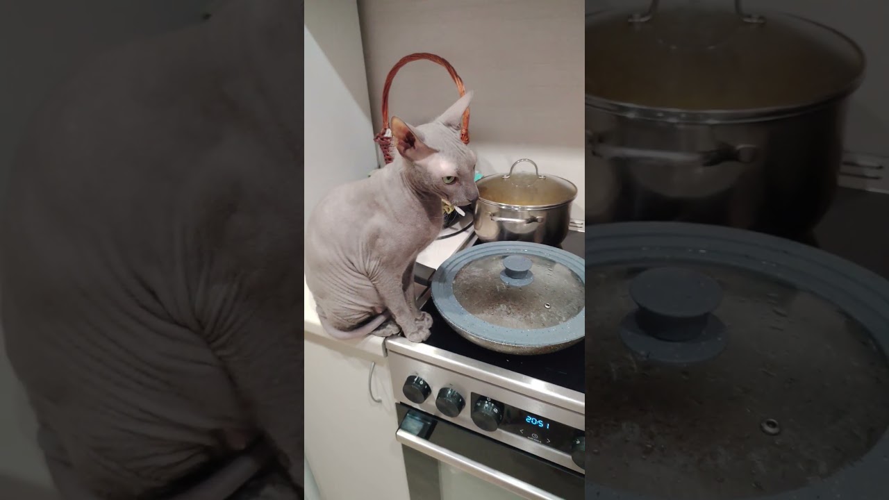 А я бы поел...