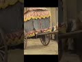 как Шайбан шах женился на Рабия бегим#shorts #youtube #youtubeshorts #subscribe