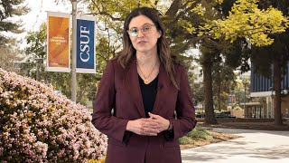 Balance Professional And Academic Goals With The Online B.a. In Humanities Social Sciences Program