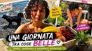 Vlog: vita in montagna, Lily al mare, nuove piantine e svuota la frutta 🍉🍓🥭🍐🥑