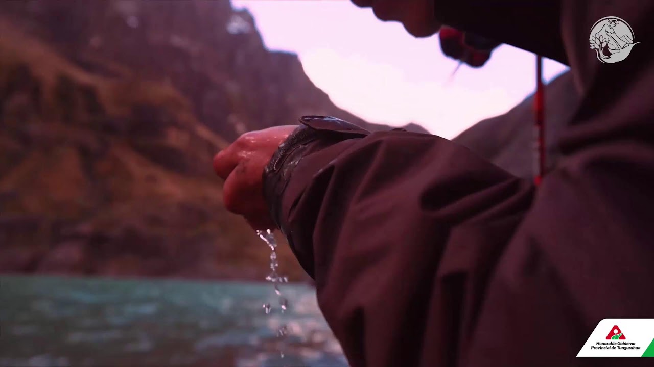 ✨ ¡𝗔𝗺𝗯𝗮𝘁𝗼 𝗿𝗲𝗰𝗶𝗯𝗲 𝗮 𝗻𝘂𝗲𝘀𝘁𝗿𝗮 𝗠𝗶𝘀𝘀 𝗨𝗻𝗶𝘃𝗲𝗿𝘀𝗼! ✨