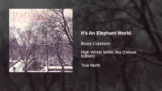 Watch Bruce Cockburn Its An Elephant World Bonus Track video