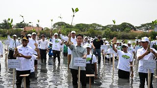 Mangrove Planting in Ketapang, Tangerang Regency