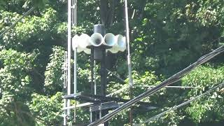 Federal Signal STH10 Noon test Fort Montgomery NY 8-21-2020