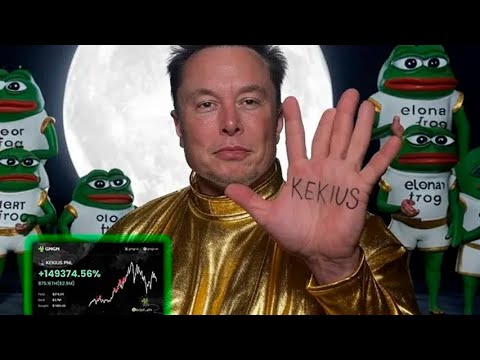 Elon Musk Kekius Maximus