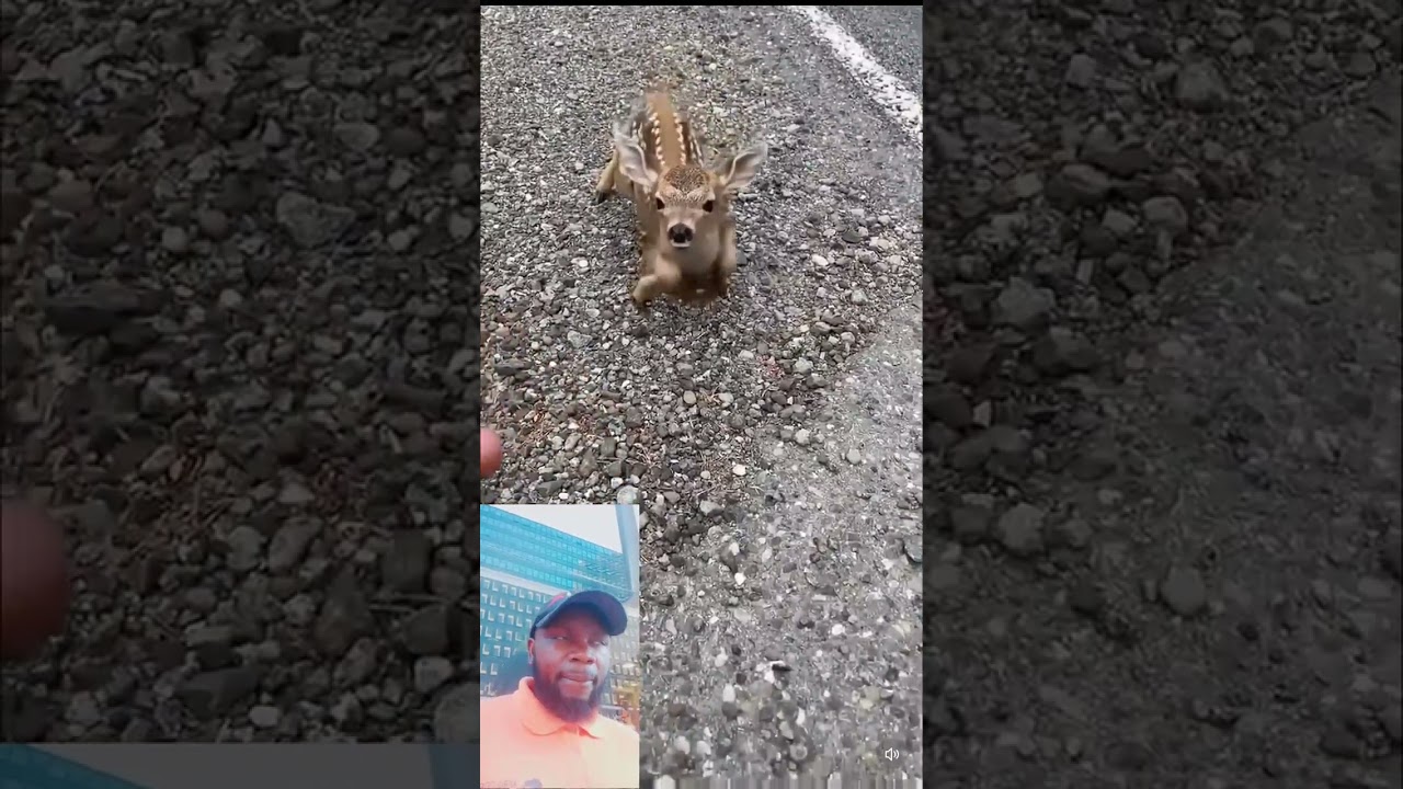 No right for the music back ground 