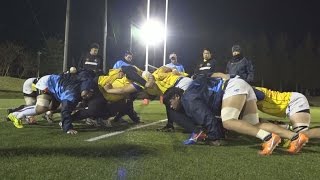 トップリーグへ み霊と共に 「復興　スポーツの力」