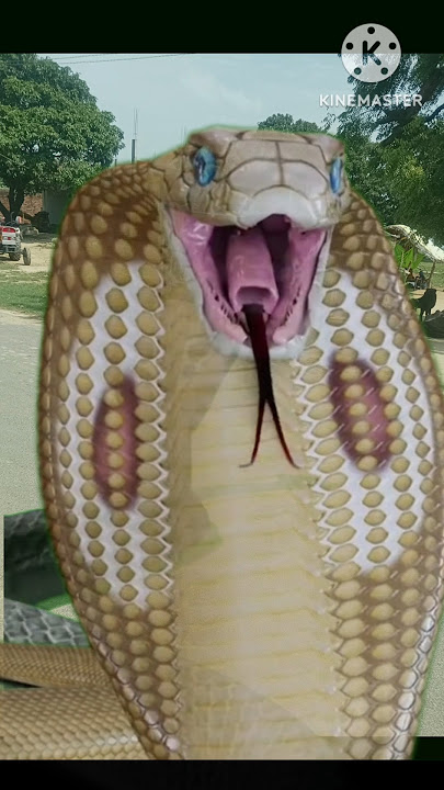 Snake Status #new #snake #cartoon #shorts #video #india