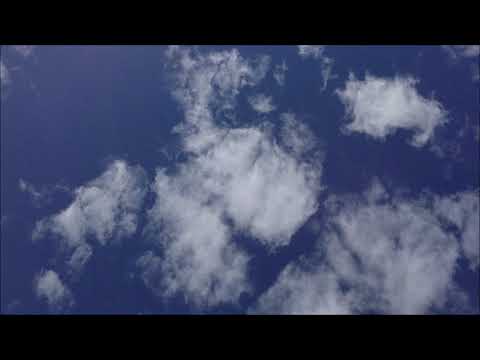 歌ってみた 六本木純情派 荻野目洋子 by 柊 月也