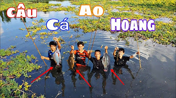 Sang Vlog | Thử Câu Cá Ơ Ao Bỏ Hoang KẾT Quả Không Ngờ Cho CẢ Team