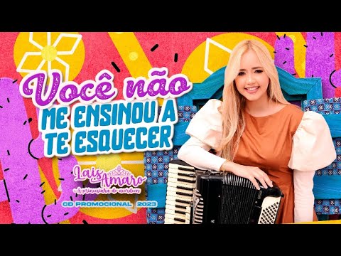 Você Não me Ensinou a te Esquecer - Laís Amaro ( CD Promocional)