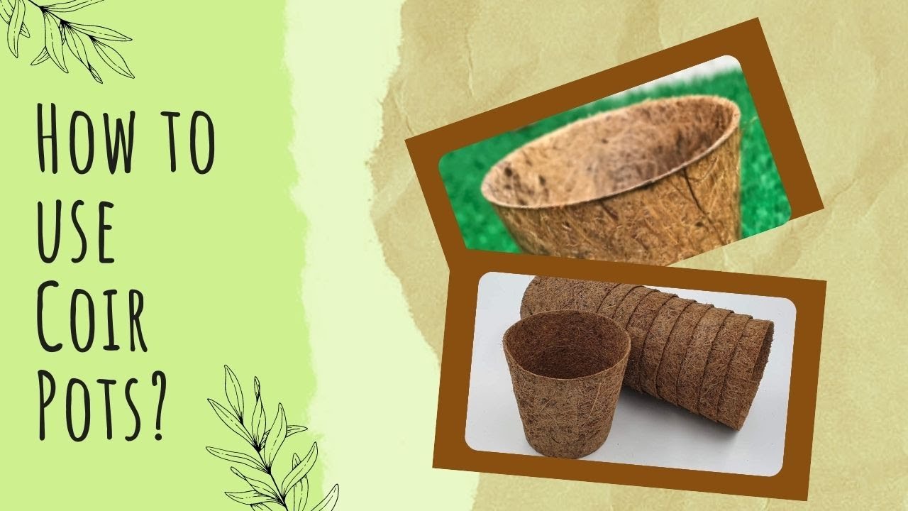 Coir Pot | The Affordable Organic Store