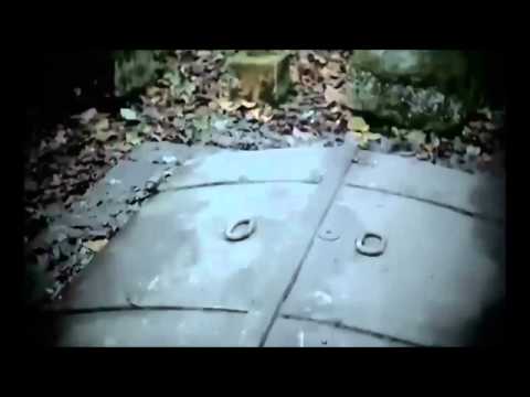 Klaus Morlock — Klaus Morlock~Quick,said the Bird