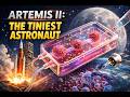 Artemis II  The Tiniest Astronaut