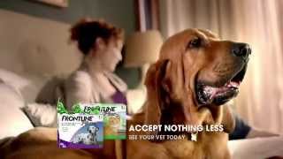 Frontline Plus Tv Shut Out Fleas Not The Dog