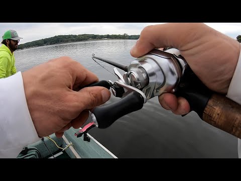 Back To The Fishing...