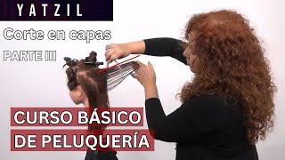 Paso a paso de corte en capas - Curso básico de peluquería.