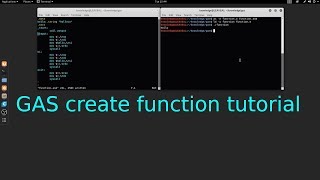 GAS x64 GNU Assembler create function tutorial in Linux Net Worth