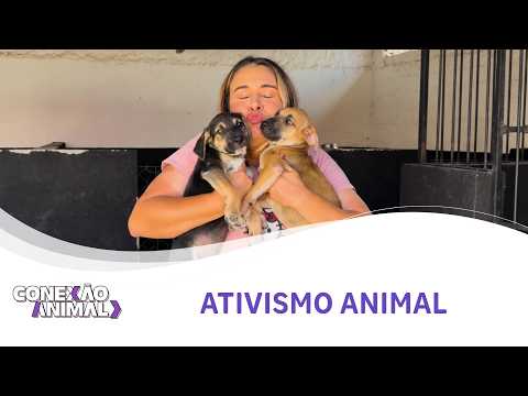 Animal Connection Program - Special Season with Adriano Bandeira