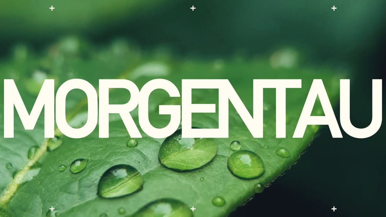 Morgentau | Breaking News | Peter Wenz