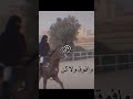 خيل وتصميم انسه ونسه ذكراك خيل وتصميم انسه ونسه ذكراك