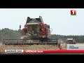 Уборка зерновых в Беларуси завершается. Главный эфир