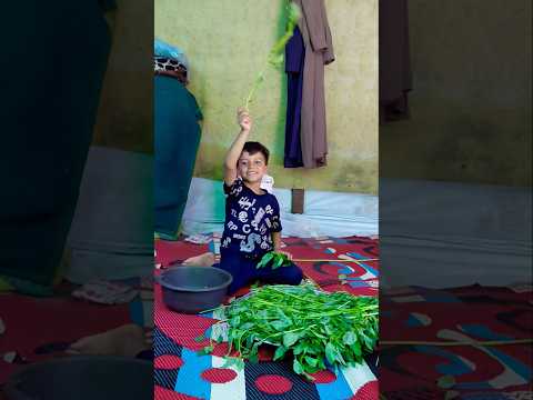 شدوا بعضكم في تقطيف ورق الملوخية 😄 #غزة #اكسبلور #حب #غزة_الآن #ايران #foryou #fyp #shorts #وصفات...