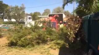 Morbark Tornado 15 Shredding Large Tree