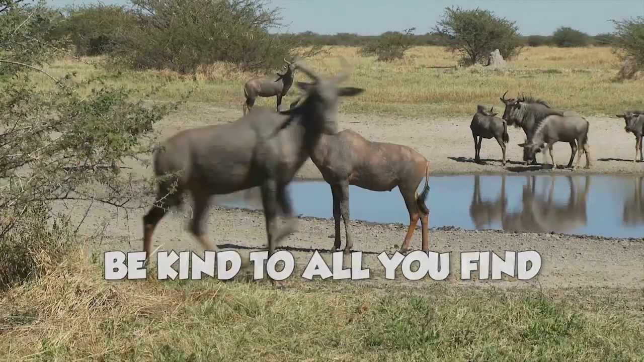 Be Kind - Nature Jams - Lyrics Video