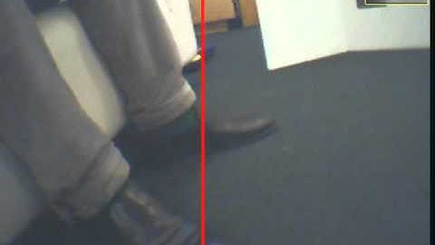 NYU Infant Action Lab - Eye Tracking Calibration