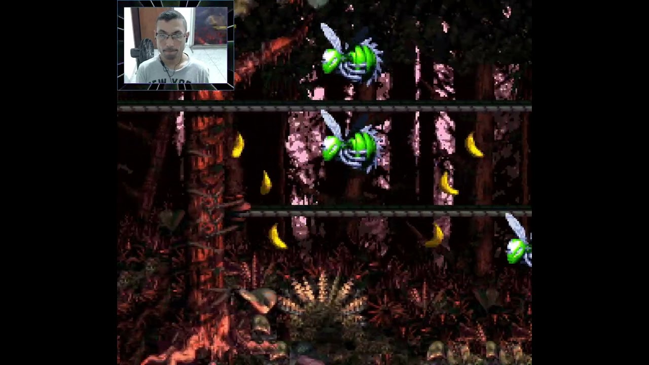 Konveyor Rope Klash Bonuses & DK Coin DKC3