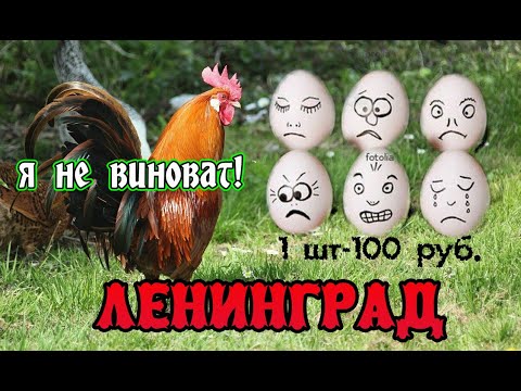 Ленинград - ДОРОГИЕ