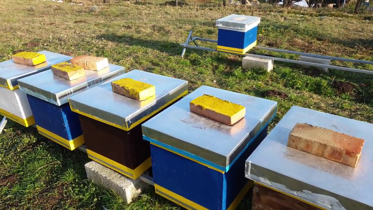 Radovi na pcelinjaku u januaru Work on the apiary in January