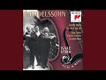 Miniature de la vidéo de la chanson Trio For Piano, Violin And Violoncello No. 1 In D Minor, Op. 49: Iv. Finale: Allegro Assai Appassionato