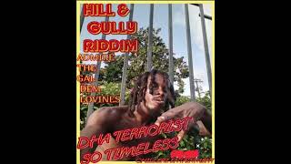 DHA_TERORIST_SO_TIMELESS-"D GAL DEM"_(HILL & GULLY RIDDIM) OFFICIAL_AUDIO2026🇻🇨
