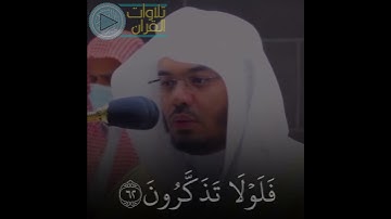 تلاوة هادئة للشيخ ياسر الدوسري #تلاوات_القرآن