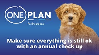 Your Pet’s Annual Checkups with Oneplan