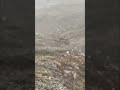 Продается квадрик не дорого